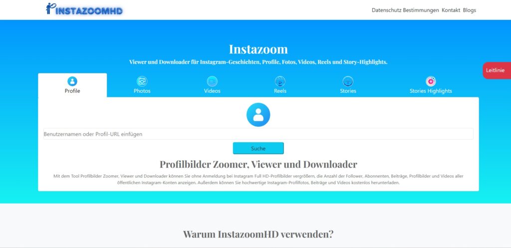 Screenshot of the Instazoom website homepage